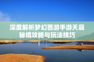 深度解析梦幻西游手游天庭秘境攻略与玩法技巧