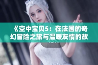《空中宝贝5：在法国的奇幻冒险之旅与温暖友情的故事》