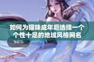 如何为猫咪成年后选择一个个性十足的地域风格网名