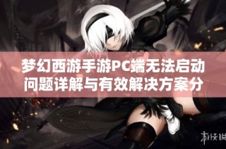 梦幻西游手游PC端无法启动问题详解与有效解决方案分析