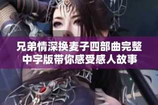 兄弟情深换麦子四部曲完整中字版带你感受感人故事