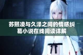 苏熙凌与久泽之间的情感纠葛小说在线阅读详解