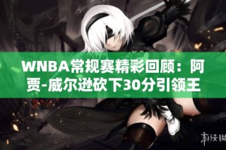 WNBA常规赛精彩回顾：阿贾-威尔逊砍下30分引领王牌战胜天空