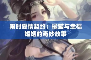 限时爱情契约：橘猫与幸福婚姻的奇妙故事