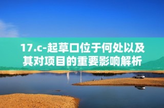17.c-起草口位于何处以及其对项目的重要影响解析