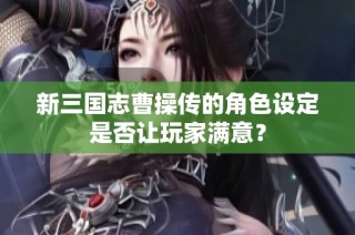 新三国志曹操传的角色设定是否让玩家满意？