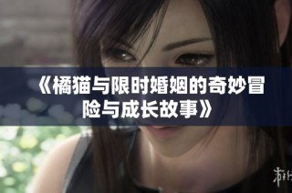 《橘猫与限时婚姻的奇妙冒险与成长故事》