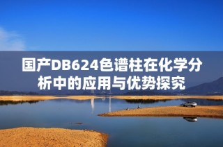 国产DB624色谱柱在化学分析中的应用与优势探究