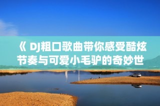 《 DJ粗口歌曲带你感受酷炫节奏与可爱小毛驴的奇妙世界 》