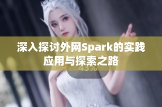深入探讨外网Spark的实践应用与探索之路