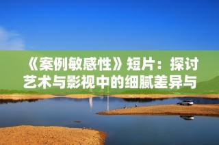 《案例敏感性》短片：探讨艺术与影视中的细腻差异与互动