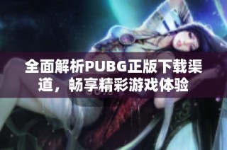 全面解析PUBG正版下载渠道，畅享精彩游戏体验