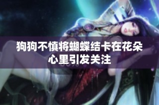 狗狗不慎将蝴蝶结卡在花朵心里引发关注