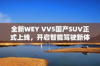 全新WEY VV5国产SUV正式上线，开启智能驾驶新体验