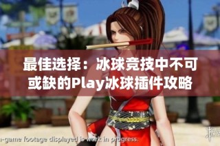 最佳选择：冰球竞技中不可或缺的Play冰球插件攻略