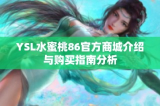 YSL水蜜桃86官方商城介绍与购买指南分析