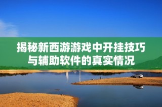 揭秘新西游游戏中开挂技巧与辅助软件的真实情况