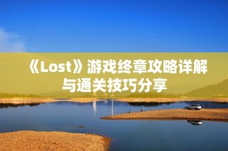 《Lost》游戏终章攻略详解与通关技巧分享