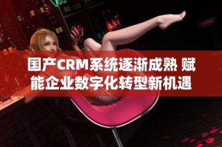 国产CRM系统逐渐成熟 赋能企业数字化转型新机遇