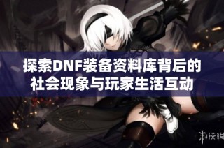 探索DNF装备资料库背后的社会现象与玩家生活互动
