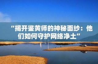 “揭开鉴黄师的神秘面纱：他们如何守护网络净土”