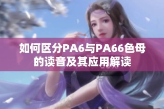 如何区分PA6与PA66色母的读音及其应用解读
