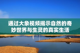通过大象视频揭示自然的奇妙世界与生灵的真实生活