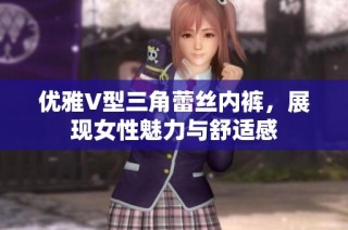 优雅V型三角蕾丝内裤，展现女性魅力与舒适感