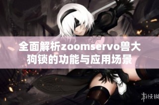 全面解析zoomservo兽大狗锁的功能与应用场景