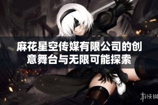 麻花星空传媒有限公司的创意舞台与无限可能探索