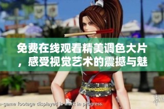 免费在线观看精美调色大片，感受视觉艺术的震撼与魅力