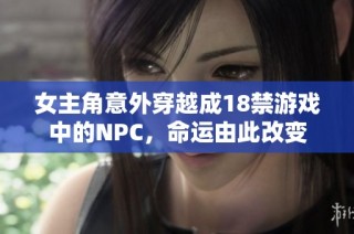 女主角意外穿越成18禁游戏中的NPC，命运由此改变