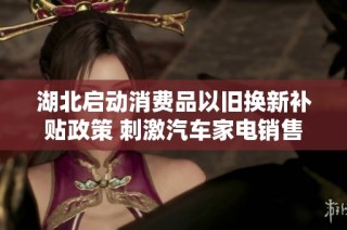 湖北启动消费品以旧换新补贴政策 刺激汽车家电销售增长超五成