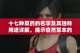 十七种草药的名字及其独特用途详解，揭示自然草本的奥秘与价值