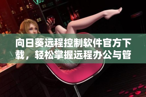 向日葵远程控制软件官方下载，轻松掌握远程办公与管理新技巧